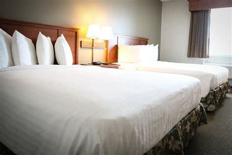 16 Best Hotels in Perham. Hotels from $65/night .